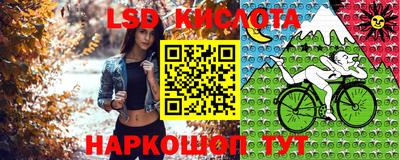 дурь Можга