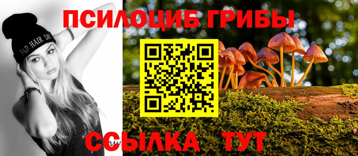 Галлюциногенные грибы Psilocybine cubensis  Вход с VPN  Анапа 